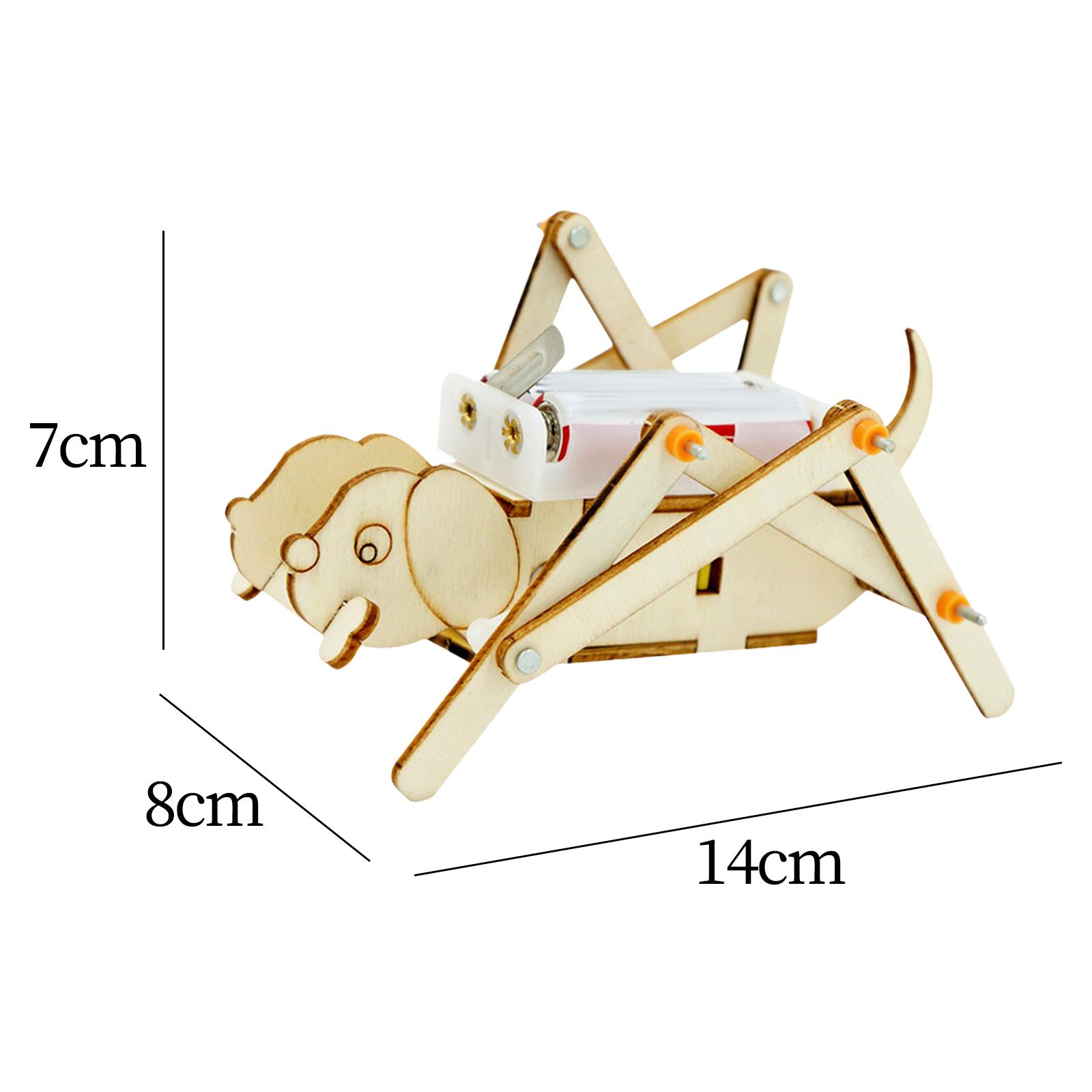 DIY Wooden Model Set Science K - огляд і ціна Science Project Toys Making