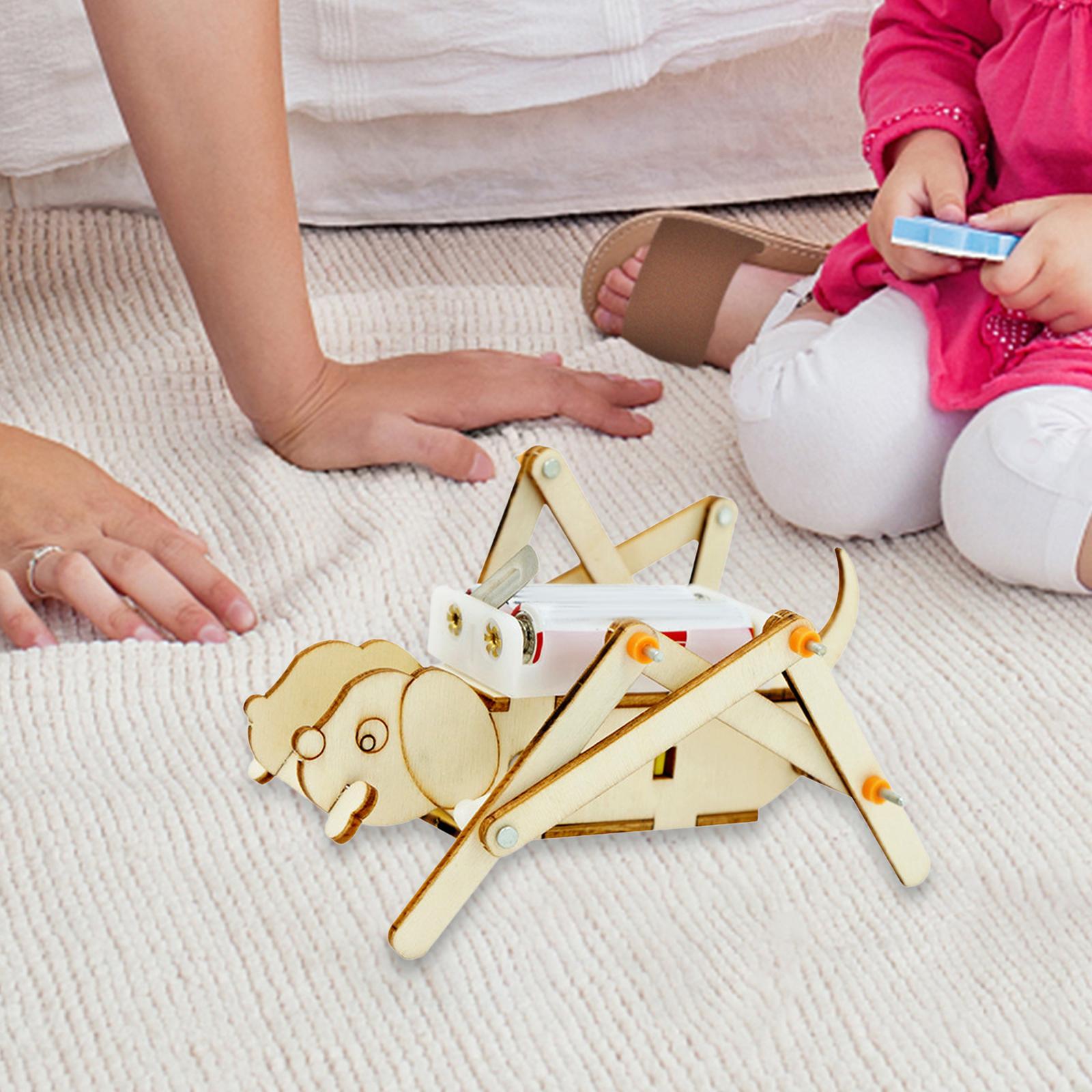 DIY Wooden Model Set Science K - огляд і ціна Science Project Toys Making