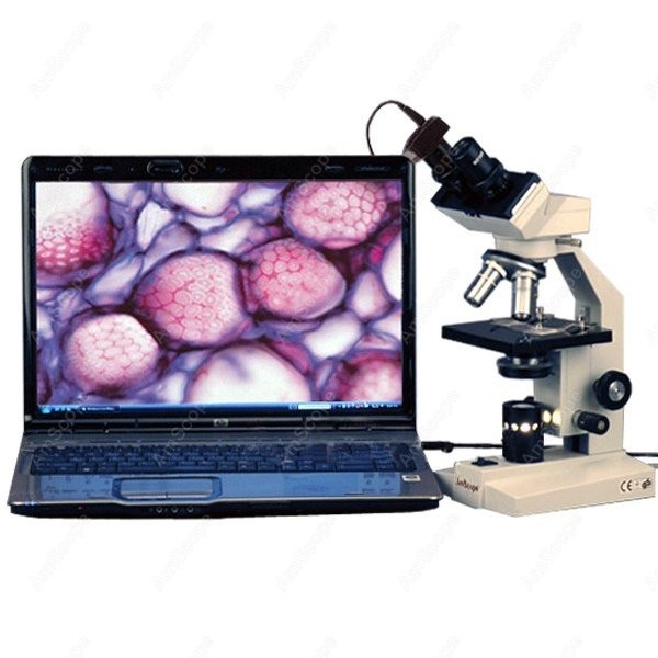 AmScope B100 Series Biological - огляд і ціна Amscope Microscope Compound 40X-1000X